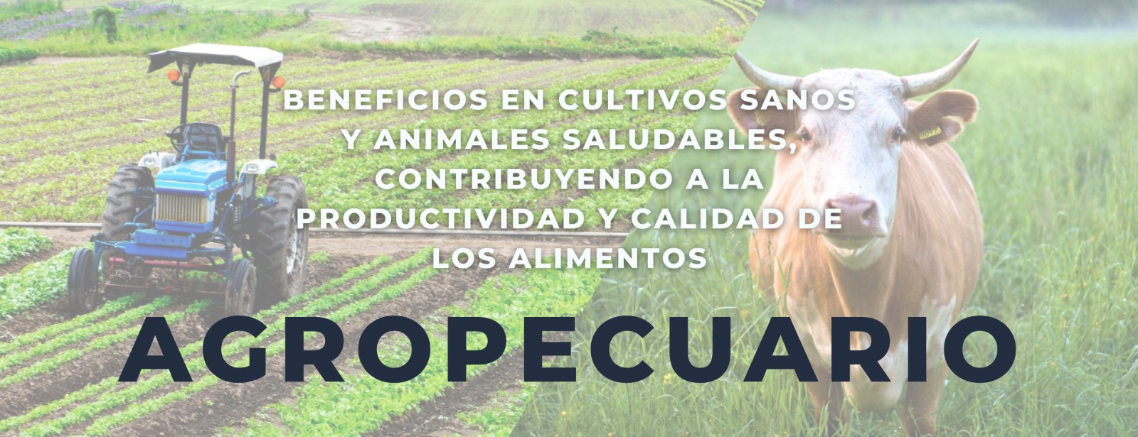 natural-biofico-header-agropecuario