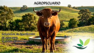 Mejora la calidad del agua en bebederos y contribuye a la salud del ganado.